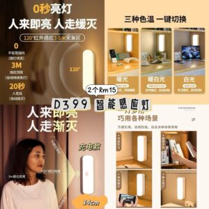 D399 智能感应灯 （2个）