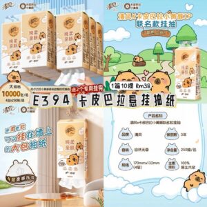 E394卡皮巴拉悬挂抽纸（1箱10提）