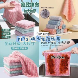 F173 吸水家政抹布 (10片)