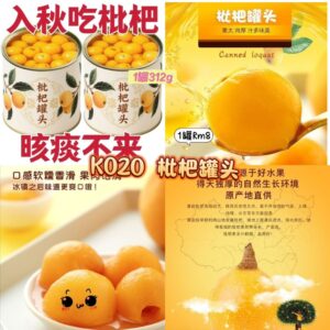 K020 枇杷罐头