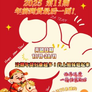 ZA第11期年前大团购11月17号-11月28号