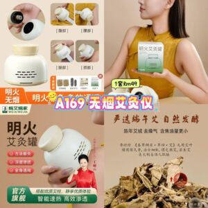 A169 无烟艾灸仪 （1套）