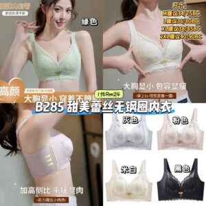 B285 甜美蕾丝无钢圈内衣