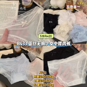 B433 蕾丝无痕少女中腰内裤 (5色各1)