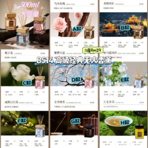 B514 高级静电无火香薰 (1罐500ml)