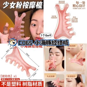 C065 小海豚经络梳