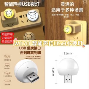 W170 智能声控USB小夜灯（1个）