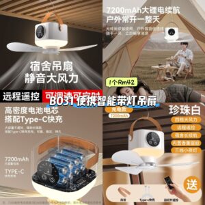 B031 便携智能带灯吊扇