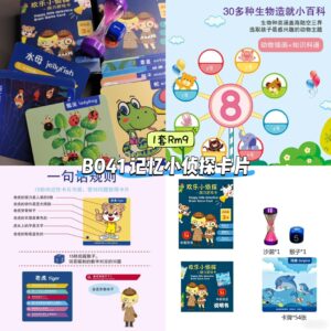 B041 记忆小侦探卡片