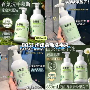 B053 泡沫慕斯洗手液