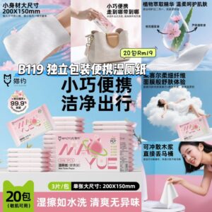 B119 独立包装便携湿厕纸 (20包)