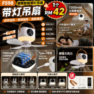 F598 便携智能带灯吊扇
