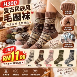 H300 复古民族风毛圈袜 （5款各1）